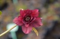 DSC_5149.JPG