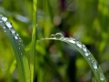 drip-1331703_1920.jpg