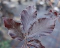 DSC06488.JPG