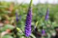 DSC07120.JPG