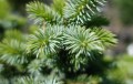 DSC08100.JPG