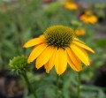 DSC01324.JPG
