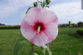 DSC02484.JPG