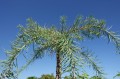 DSC03851.JPG