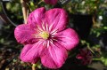 DSC04746.JPG
