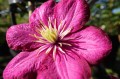 DSC04747.JPG