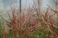 DSC04803.JPG
