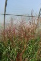 DSC04813.JPG
