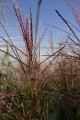 DSC04984.JPG