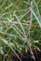 DSC05048.JPG