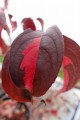 DSC07313.JPG