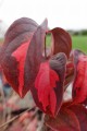 DSC07315.JPG