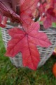 DSC07298.JPG