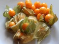 exotic-fruit-2810593_1280.jpg