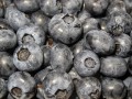 blueberry-2529799_1280.jpg
