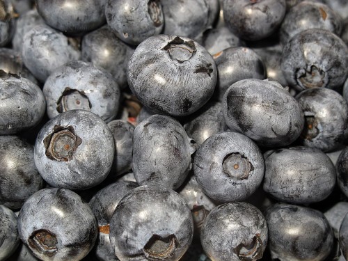 blueberry-2529799_1280.jpg