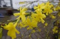 DSC09388.JPG