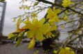 DSC09392.JPG