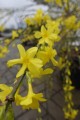 DSC09396.JPG