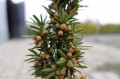 DSC00077.JPG