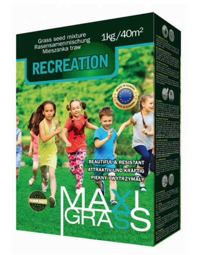 MaxiGras Recreation.png