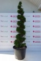 DSC08530.JPG