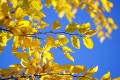 26841.jpg