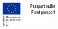 11467.jpg