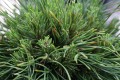 888.jpg
