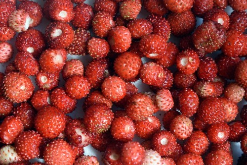 strawberries-5364005_1280.jpg