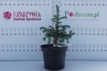 DSC08570.JPG