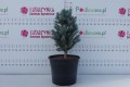 DSC08647.JPG