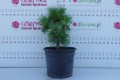 DSC08763.JPG