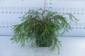 DSC09109.JPG