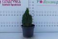 DSC09221.JPG