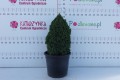 DSC09236.JPG
