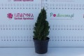 DSC09247.JPG