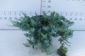 DSC09255.JPG