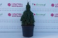 DSC09340.JPG