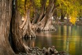 pexels-pandaa-12586648.jpg