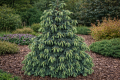 ChatGPT Image 24 lut 2026, 12_42_46.png