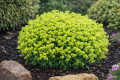 ChatGPT Image 9 mar 2026, 15_24_16.png