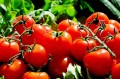 couleur-tomatoes-1280859_1920.jpg