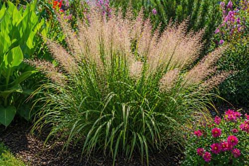 ChatGPT Image 28 kwi 2026, 15_09_44.png