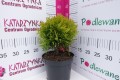 DSC04842.JPG