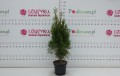 DSC05272.JPG