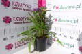 DSC05564.JPG