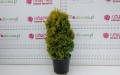 DSC05291.JPG
