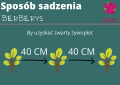 ber 1.png