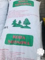 kora_srednia.jpg